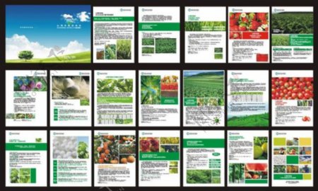 绿色农业画册模板矢量素材