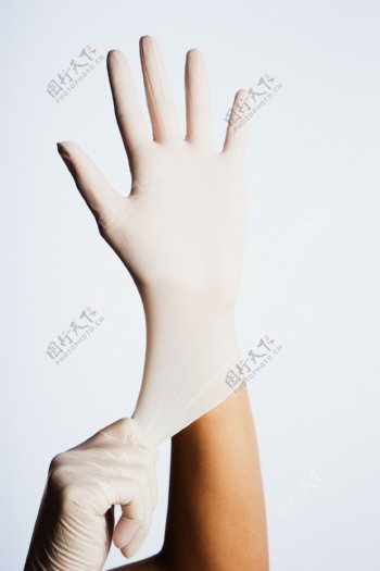 戴白色手套的手图片