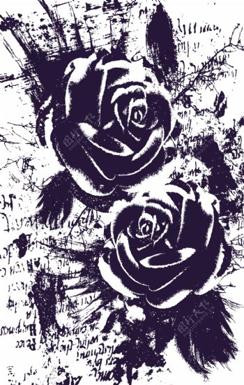 玫瑰花插画印花