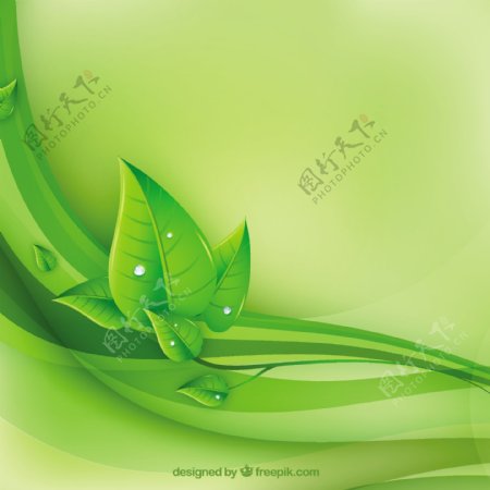生态叶和绿波