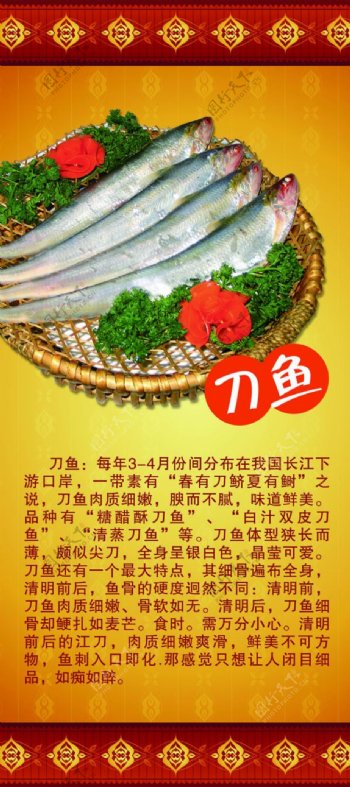 长江刀鱼展板设计
