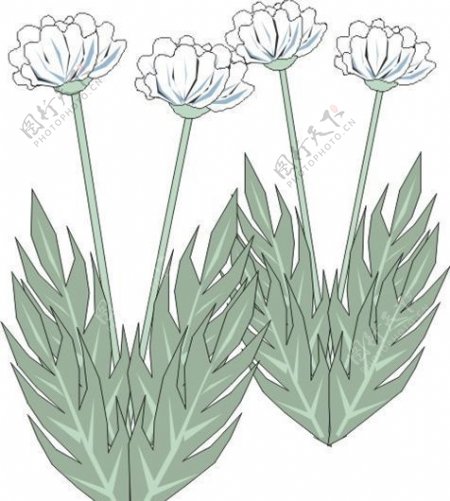 鲜花植物图案矢量AI0071