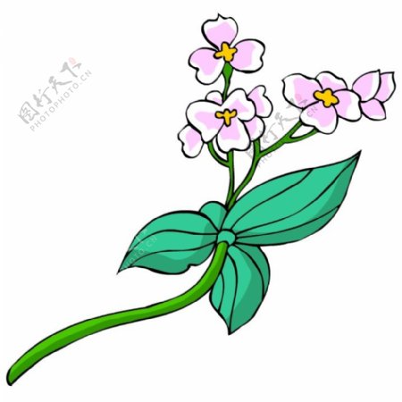 花卉古典插画