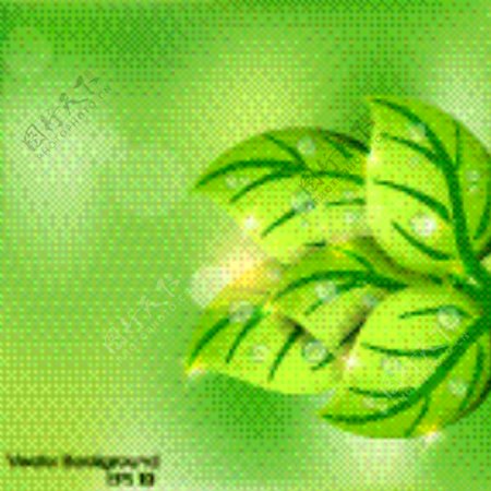 绿色树叶植物图片