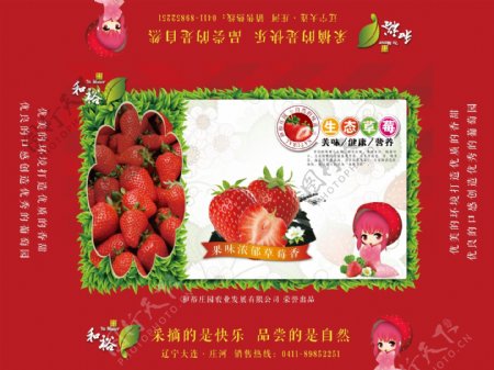 精品草莓包装1