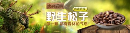 松子森林清新自然海报banner