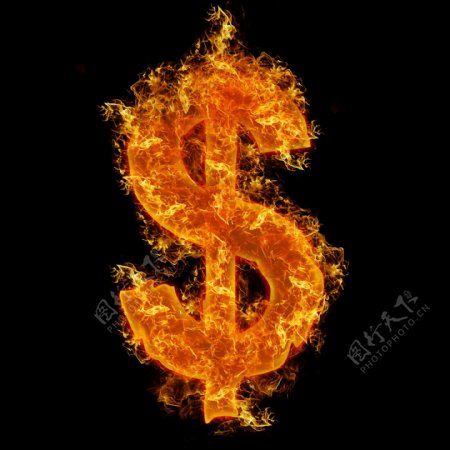 火焰型美元符号图片