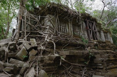 柬埔寨崩密列风景