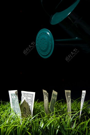 给草丛中的钞票浇水图片