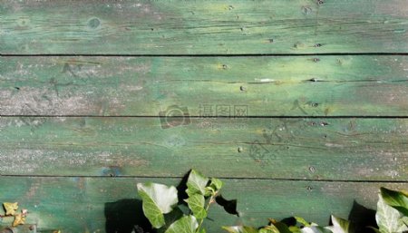 绿色的围栏木板