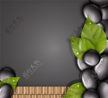 黑色鹅卵石和树叶背景矢量图