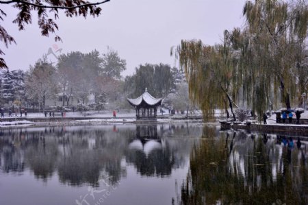 雪中陶然亭公园