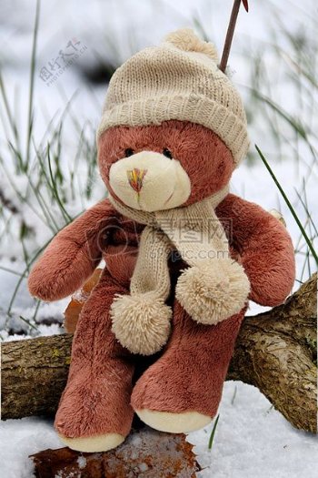 一天时间内米色和棕色小熊毛绒玩具布朗分公司