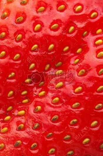 红色草莓上的籽