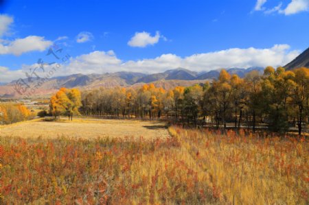 青海黑河大峡谷的秋日风景