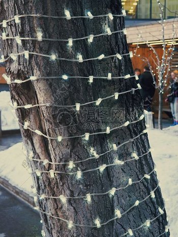木材城市灯冬天树圣诞节
