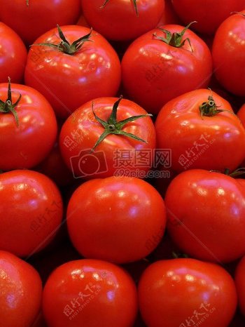红色健康番茄