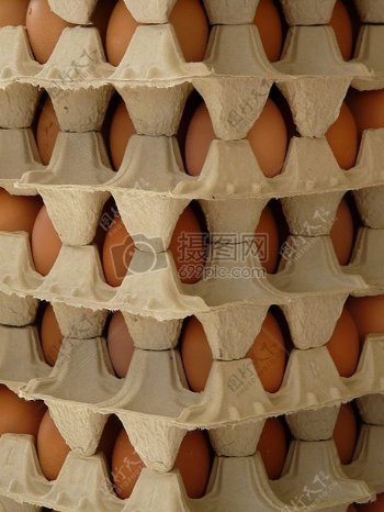 特写鸡蛋盒