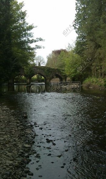 桥河河边
