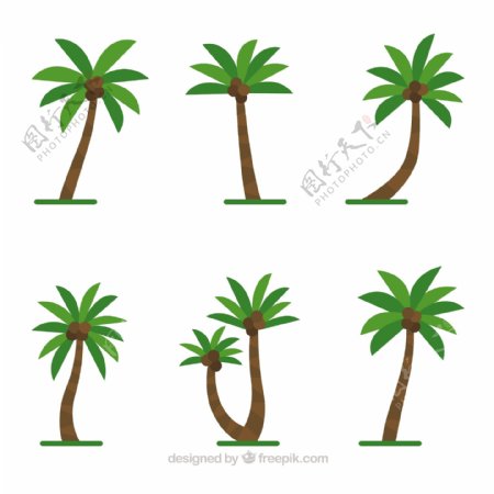 各种椰子树矢量素材