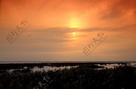 天津大港湿地公园夕阳风景