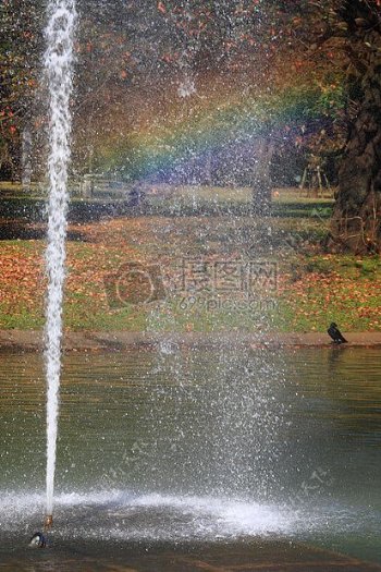 水湖池塘喷泉彩虹乌鸦主题水