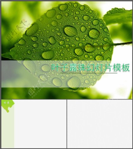 绿色水滴ppt模板