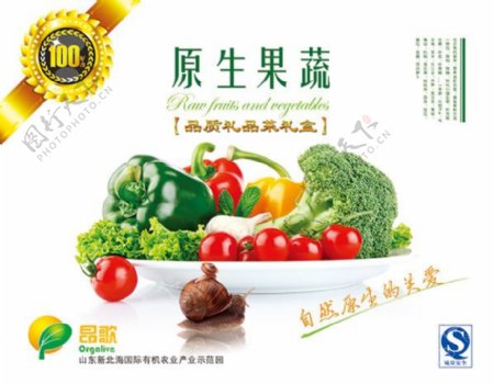 蔬菜水果包装设计PSD素