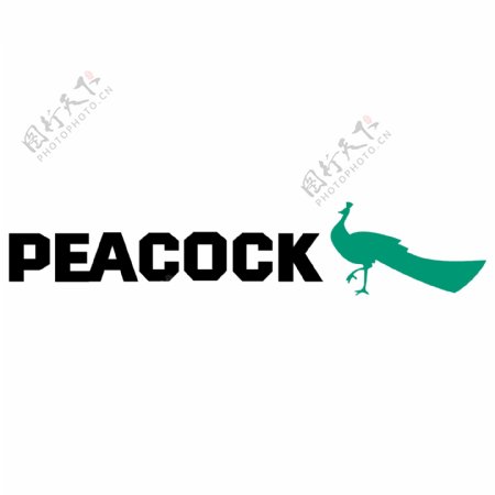 PEACOCK创意简约logo设计