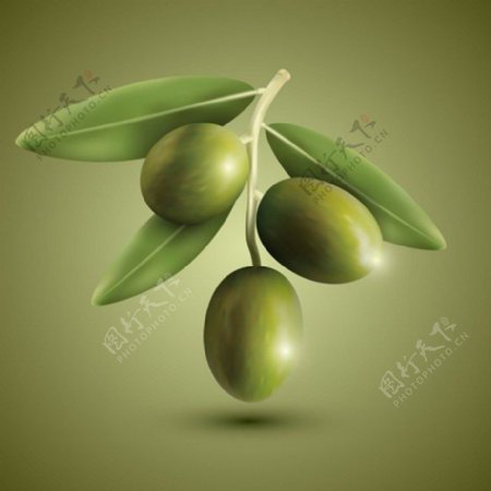 橄榄水果背景素材