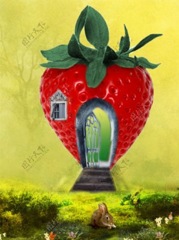 草莓屋子