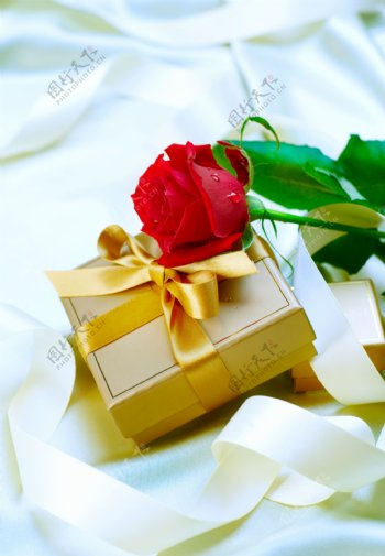 情人节玫瑰花与礼品盒图片