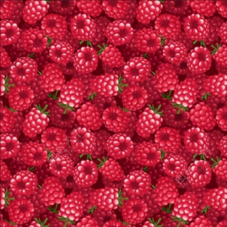 野生草莓背景素材