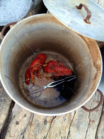 木桶里的龙虾