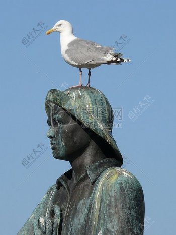 雕像上的海鸥