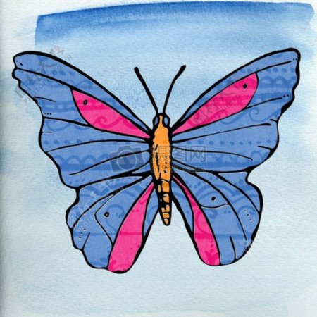 蓝色翅膀的蝴蝶