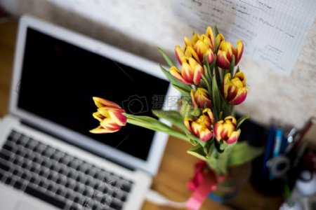 电脑旁边的花朵