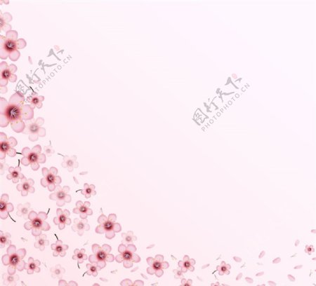 樱花花朵装饰背景矢量素材