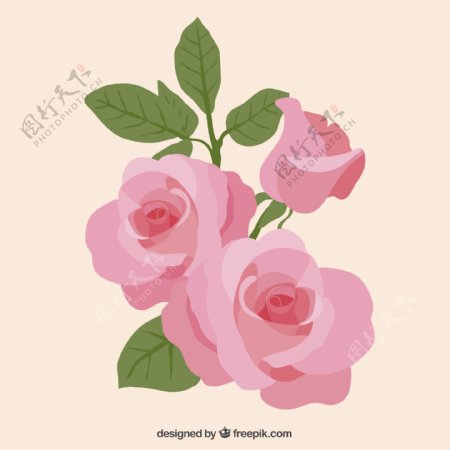 粉色水彩玫瑰花矢量素材.