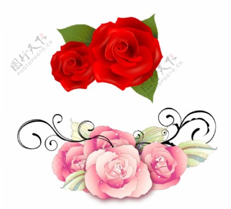 红玫瑰鲜花花纹