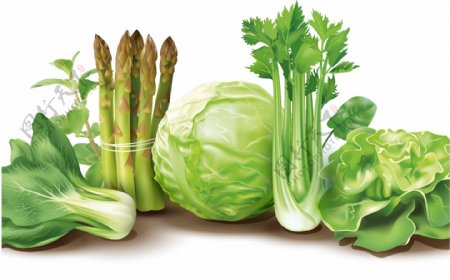 新鲜蔬菜矢量素材图片
