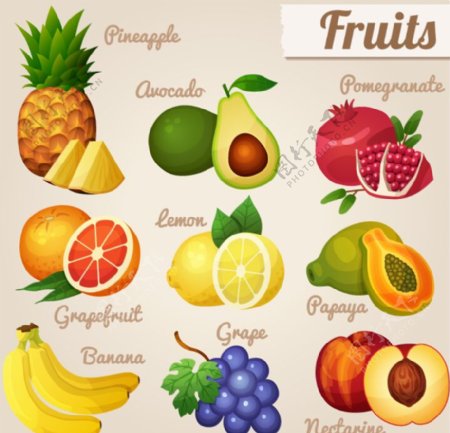 9种美味水果矢量素材