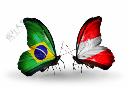 巴西国旗与蝴蝶图片