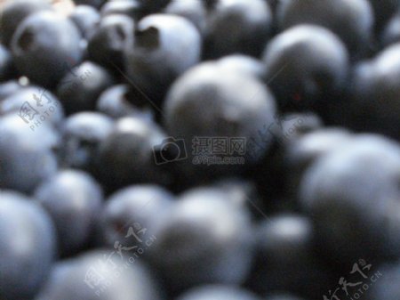 水果蓝莓特写