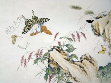 水墨蝴蝶植物图片