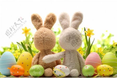 毛绒兔子与彩蛋鲜花图片