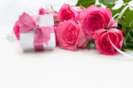 礼物与粉玫瑰图片