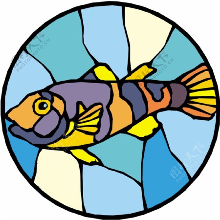 五彩小鱼水生动物矢量素材EPS格式0072