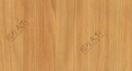 山毛榉木纹木纹板材木质