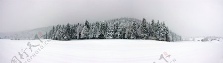 雪地与树林图片